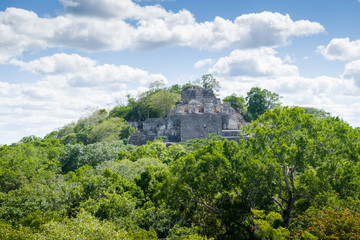 Fototapeta na wymiar The ruins of the ancient Mayan city of calakmul, campeche, Mexico