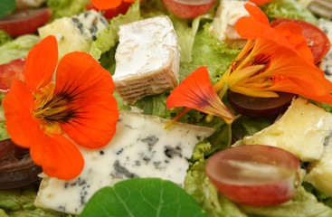 Snack of lettuce leaves, blue cheese, grape berries and edible nasturtium flowers, background