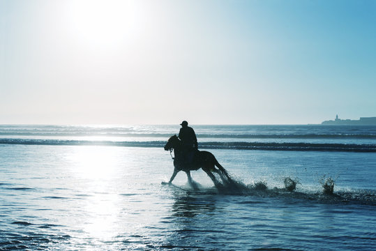 Silhouette of a horse rider at the beach during sunset. High key image.