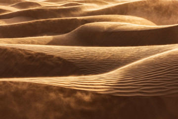 Fototapeta na wymiar Windswept desert sand dunes.