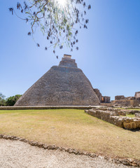 Fototapeta na wymiar Mayan pyramid in Uxmal, Mexico 