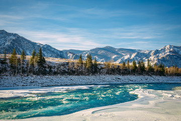 Unfrozen turquoise Katun river in Altai mountains on a frosty winter day. Incredible mountain valley landscape in sunlight.