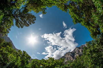 Fototapete bei efototapeten.de bestellen   