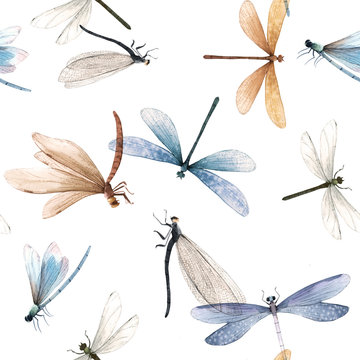 Watercolor summer dragonfly insect colourful seamless pattern