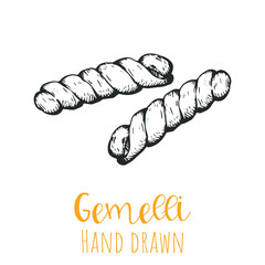 Gemelli type pasta hand drawn vector illustration, isolated sketched pasta shape.
