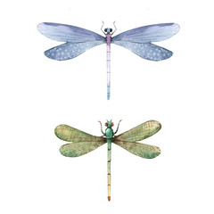 Watercolor summer dragonfly insect colourful illustrations set - obrazy, fototapety, plakaty