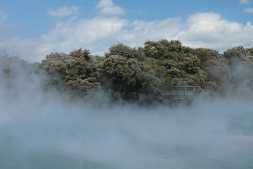 Rotorua Neuseeland heiße Quellen und Geysire