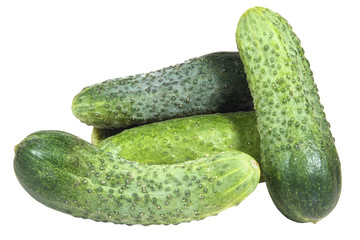 isolated on white background ripe vegetable.cucumber