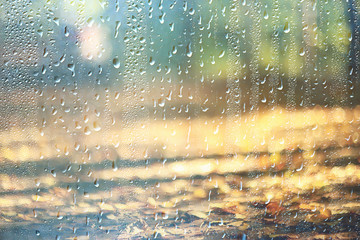 background wet glass drops autumn in the park / view of the landscape in the autumn park from a wet...