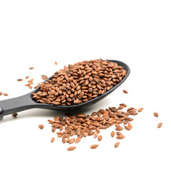 Roasted barley tea on white background