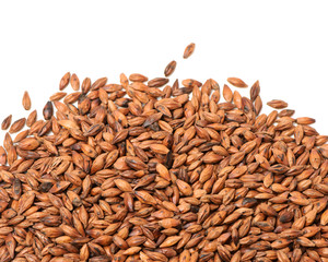 Roasted barley tea on white background