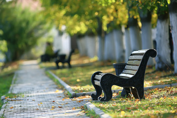 landscape in autumn park bench / beautiful garden bench, concept of rest, nobody in autumn park, landscape background, fall
