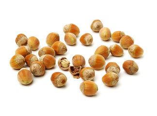 Hazelnut on white background
