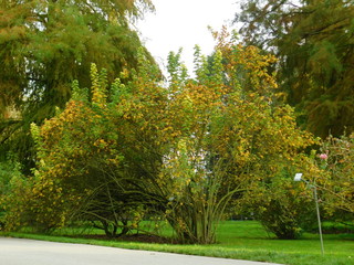 Naklejka premium Herbst