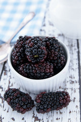 Fototapeta na wymiar Freshly picked blackberries 
