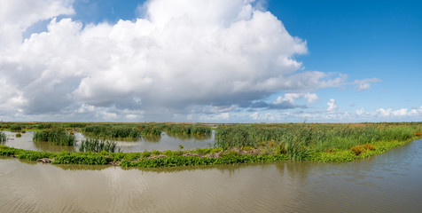 Panorama of marshland on manmade artificial island of Marker Wadden, Markermeer, Netherlands