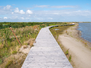 Fototapeta premium Boardwalk path of nature trail on manmade island of Marker Wadden in Markermeer, Netherlands