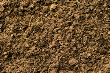 Dung or manure for planting.