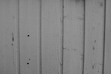 wood texture background