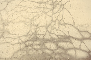 asphalt in cracks texture / abstract background cracks on asphalt road
