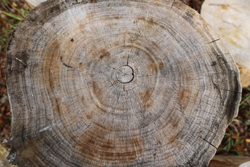 the beam in the slit