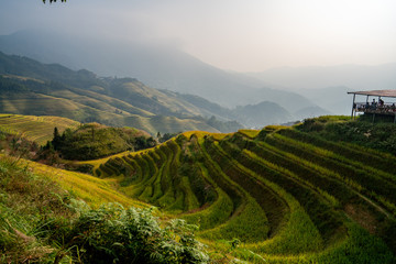 Longji Rice Terraces in China Sunrise view