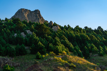 Obraz premium Mountains of Crimea, Travel during Summer