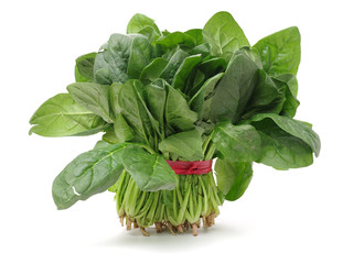 Spinach on a white background