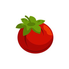 simple modern tomato vegetable vector logo design