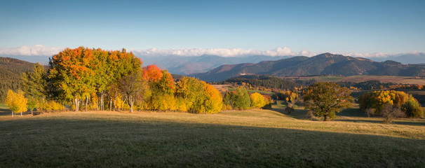 Fall in Slovakia. Meadows and fields landscape near Povraznik. Autumn colored trees at sunrise