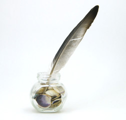feather in an inkwell filled with seashells. On white background. Side view. Writing about the sea.