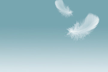 Feather abstract background, Soft white feather floating in the air