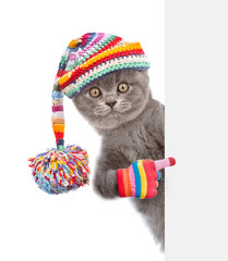 Cat wearing a warm hat with pompon peeks and points on empty banner. isolated on white background