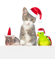 Group of pets wearing a red christmas hats peeps above empty white banner. isolated on white background. Empty space for text