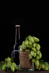 Brewing concept. Bottle of a craft beer and mug with malt and fresh green hops like a foam on dark wooden table. isolated on black background