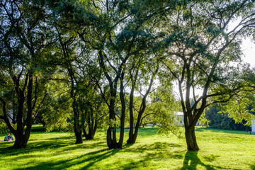 Moscow, Izmailovo, Silver-Grape Pond and recreation zone 