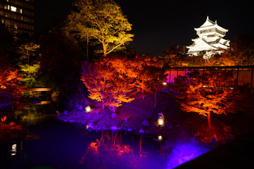 Fototapeta na wymiar 秋の小倉城庭園ライトアップ