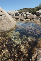 Paysages de nuit, de jour, portrait d'animaux