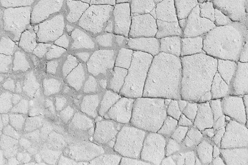 crack on the ground white background / abstract white vintage background broken texture