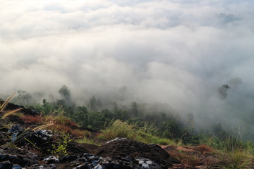 moutian travel white green forest landscape