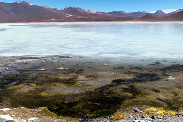 Laguna Blanca, White Lagoon, Eduardo Avaroa National reserve, Bolvia