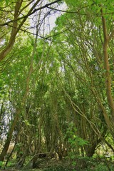 Paysages de nuit, de jour, portrait d'animaux