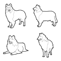 Collie Animal Vector Illustration Hand Drawn Cartoon Art