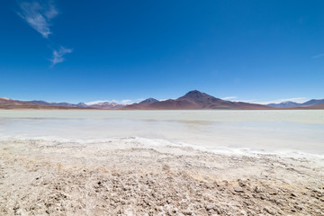 Fototapeta na wymiar Laguna Blanca, White Lagoon, Eduardo Avaroa National reserve, Bolvia