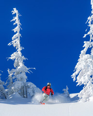 Skifahren im Winterwunderland an einem perfektem Wintertag
