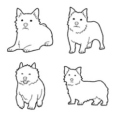 Norwich Terrier Animal Vector Illustration Hand Drawn Cartoon Art