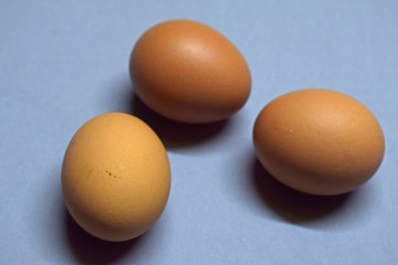 chicken eggs