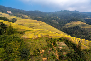 Longji Rice Terraces in China Sunrise view