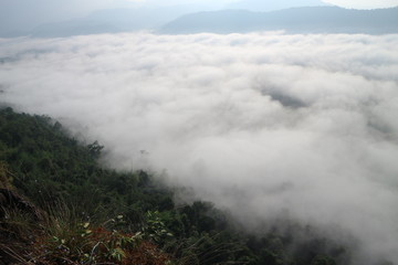 moutian travel white green forest landscape