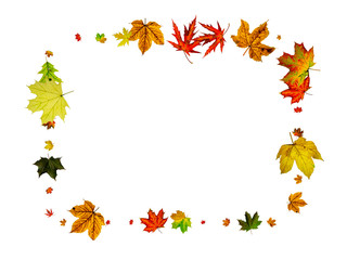 Naklejka na ściany i meble Autumn leaves on ground. November falling pattern background. Thanksgiving season concept